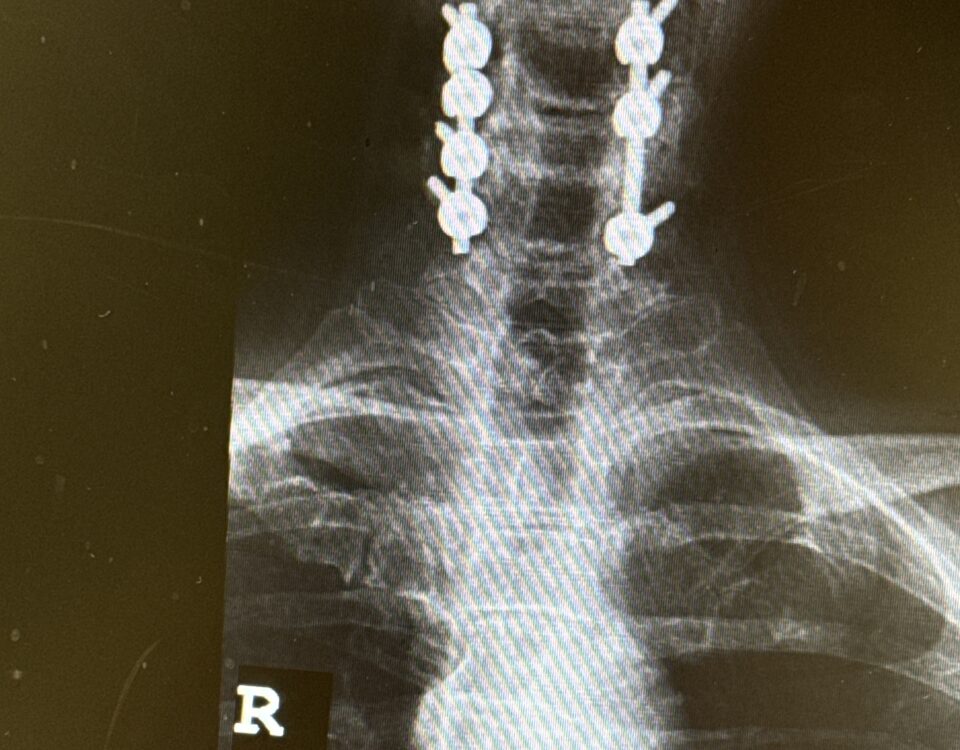 74518811426__78EB9837-981E-49F7-9023-C319E83C1615 (1)